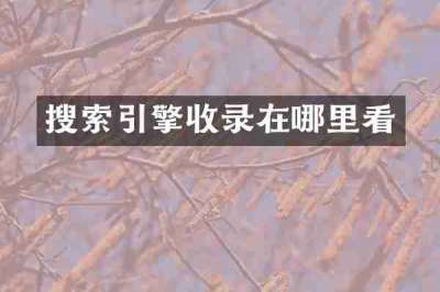 搜索引擎收录在哪里看