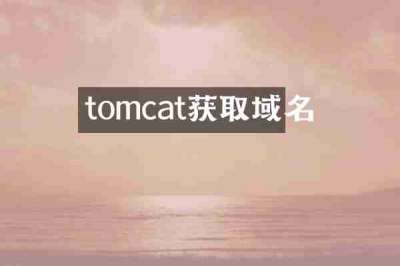 tomcat获取域名