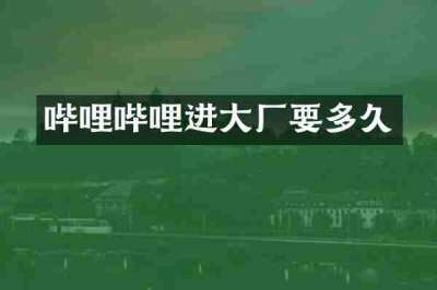 哔哩哔哩进大厂要多久