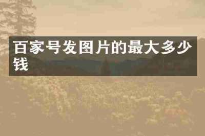 百家号发图片的最大多少钱