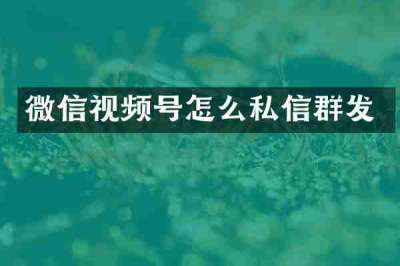 微信视频号怎么私信群发