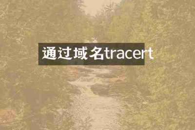 通过域名tracert