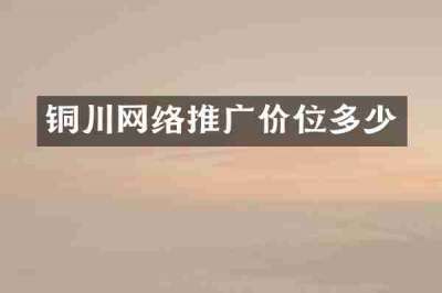 铜川网络推广价位多少