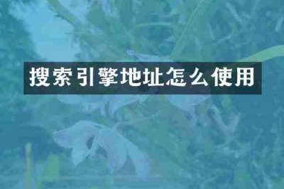 搜索引擎地址怎么使用