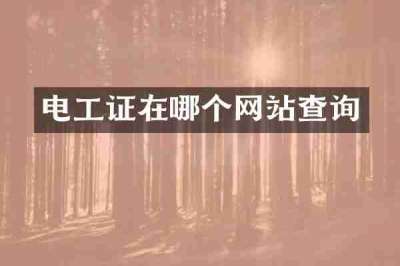 电工证在哪个网站查询