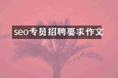 seo专员招聘要求作文