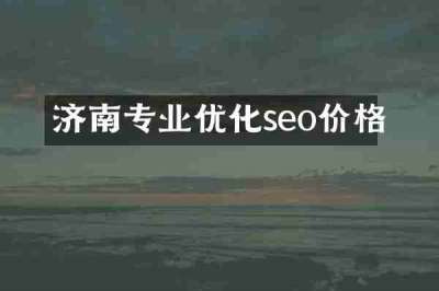 济南专业优化seo价格