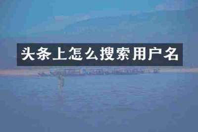 头条上怎么搜索用户名