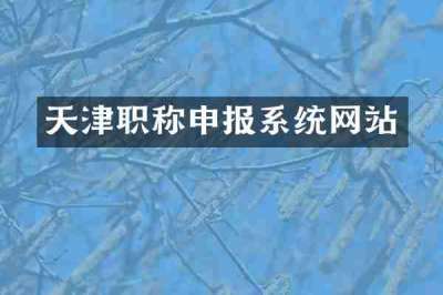 天津职称申报系统网站