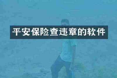 平安保险查违章的软件
