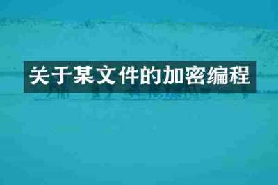 关于某文件的加密编程
