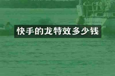 快手的龙特效多少钱