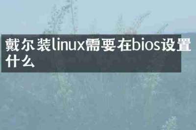 戴尔装linux需要在bios设置什么