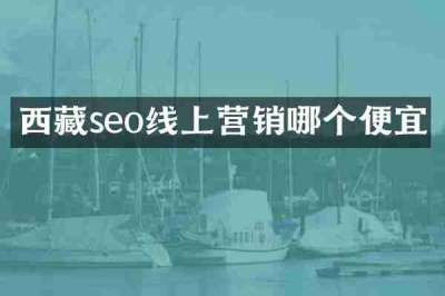 西藏seo线上营销哪个便宜