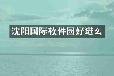 沈阳国际软件园好进么