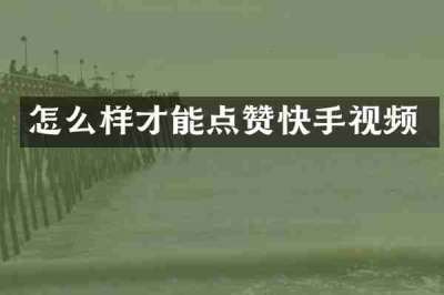 怎么样才能点赞快手视频