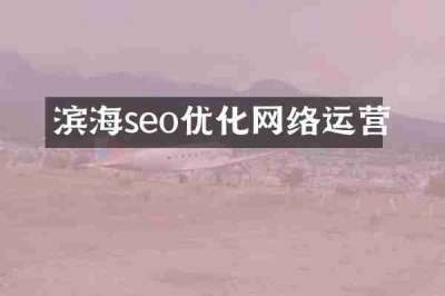 滨海seo优化网络运营