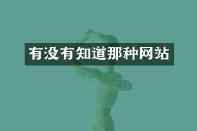 有没有知道那种网站