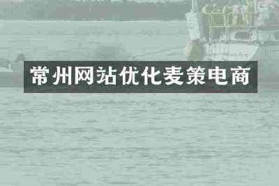 常州网站优化麦策电商