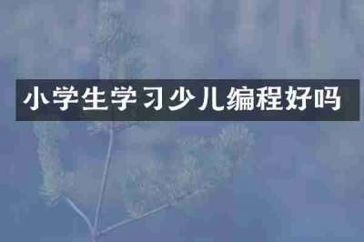 小学生学习少儿编程好吗