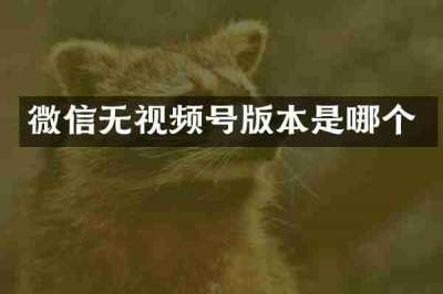 微信无视频号版本是哪个