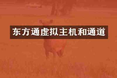 东方通虚拟主机和通道