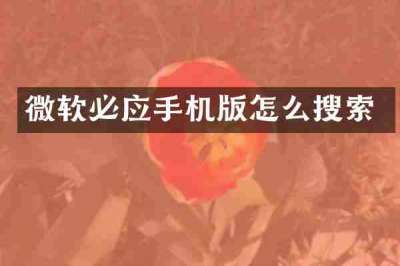 微软必应手机版怎么搜索