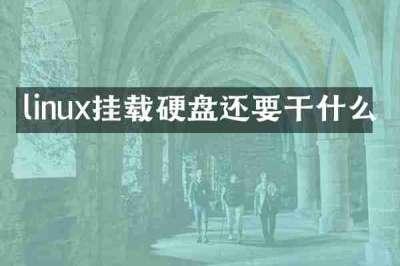 linux挂载硬盘还要干什么