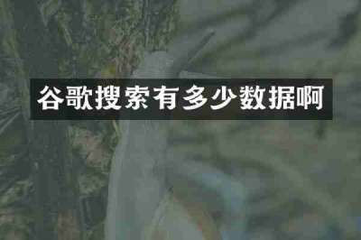 谷歌搜索有多少数据啊