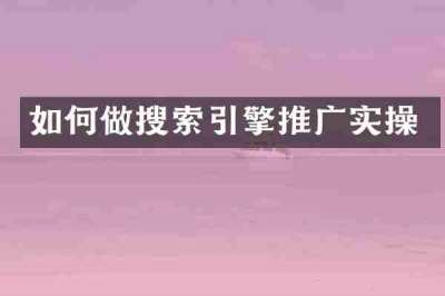 如何做搜索引擎推广实操
