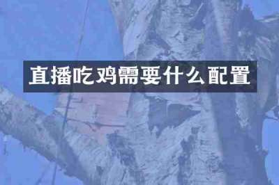 直播吃鸡需要什么配置