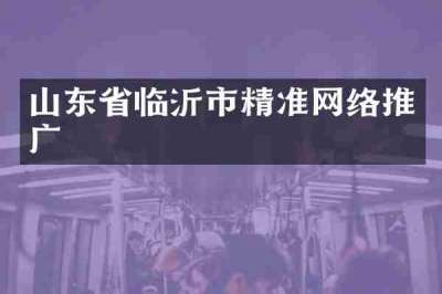 山东省临沂市精准网络推广
