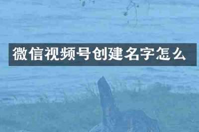 微信视频号创建名字怎么