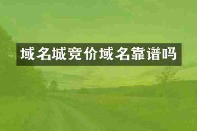 域名城竞价域名靠谱吗