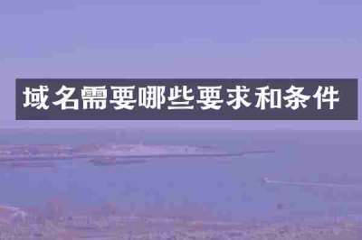 域名需要哪些要求和条件