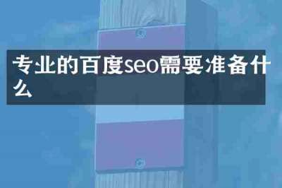 专业的百度seo需要准备什么