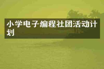小学电子编程社团活动计划