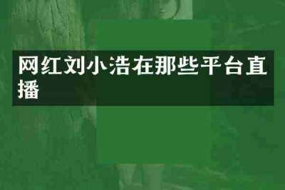 网红刘小浩在那些平台直播