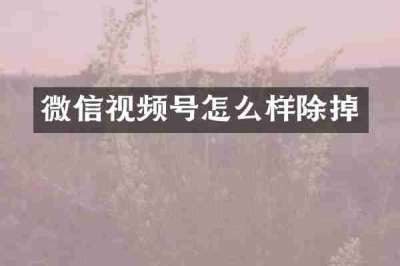微信视频号怎么样除掉