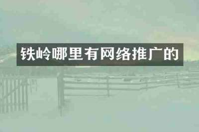 铁岭哪里有网络推广的