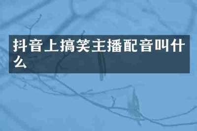 抖音上搞笑主播配音叫什么