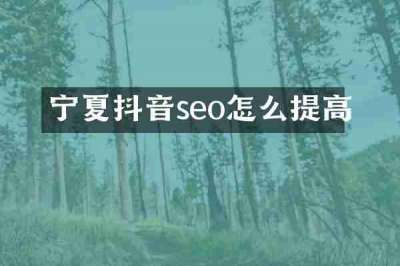 宁夏抖音seo怎么提高