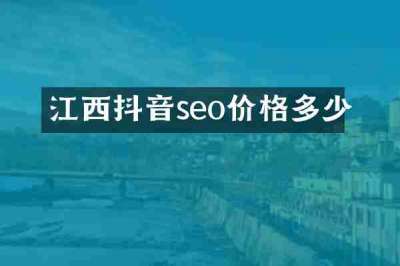 江西抖音seo价格多少