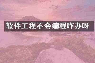 软件工程不会编程咋办呀