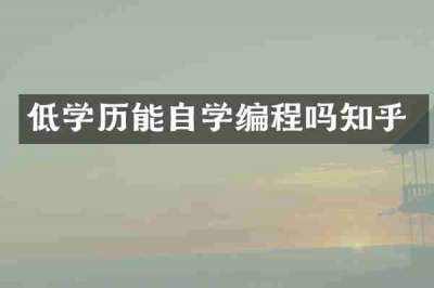 低学历能自学编程吗知乎