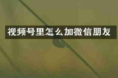视频号里怎么加微信朋友