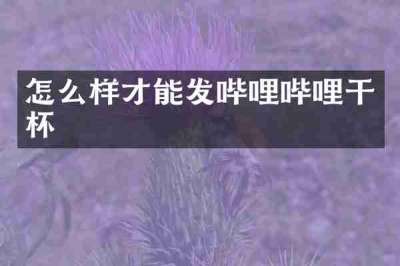 怎么样才能发哔哩哔哩干杯