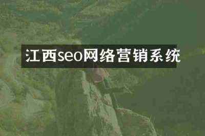 江西seo网络营销系统