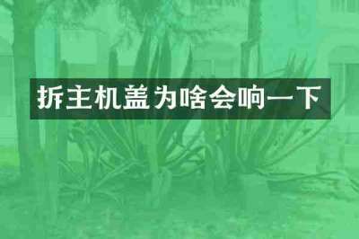 拆主机盖为啥会响一下