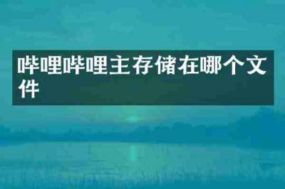 哔哩哔哩主存储在哪个文件